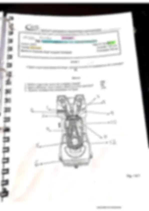 pf19