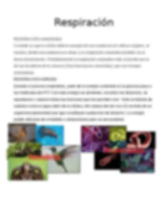 pf4