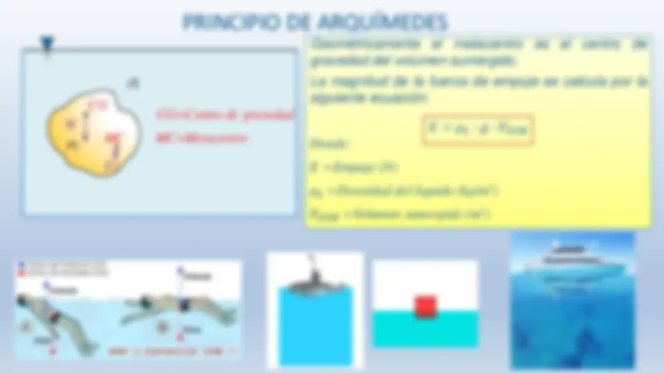 pf19