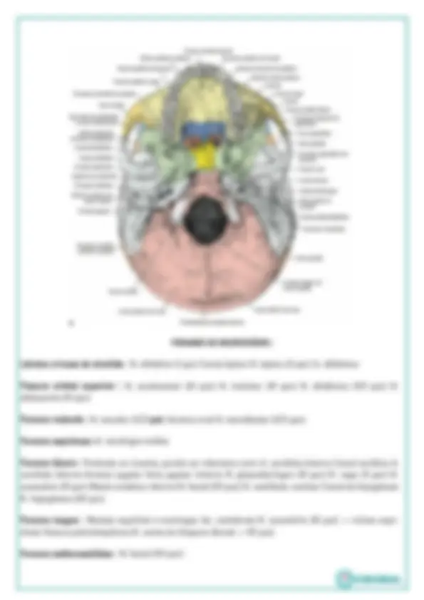 pfa