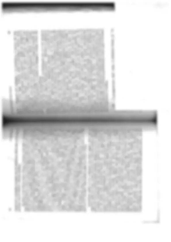 pf1b