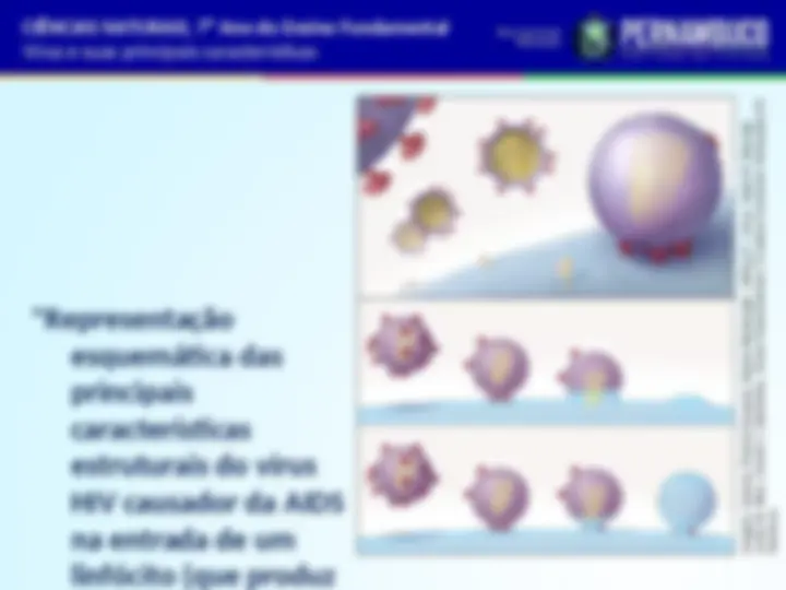 pf17
