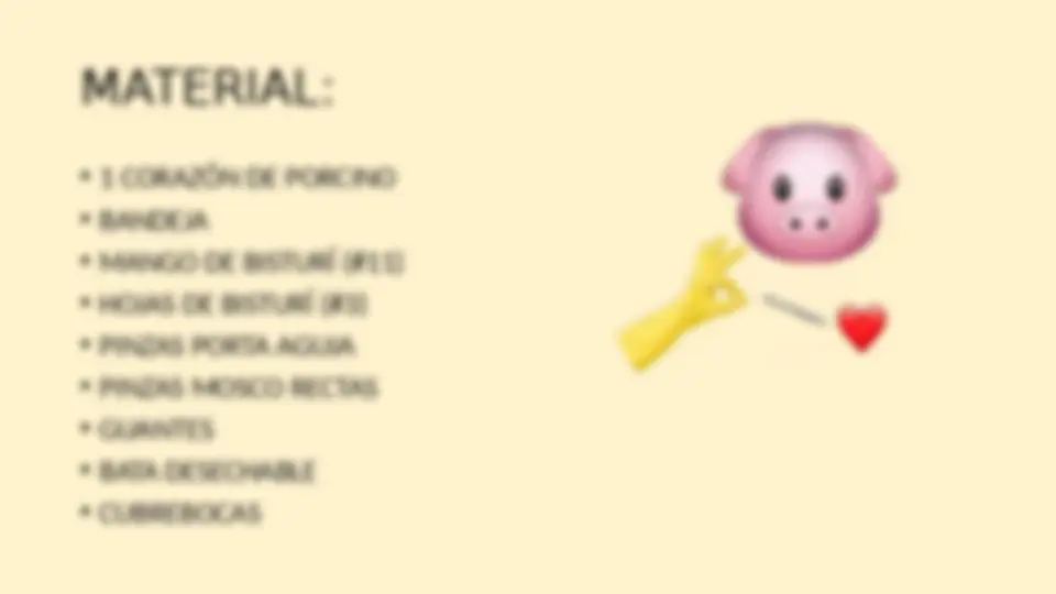 pf3