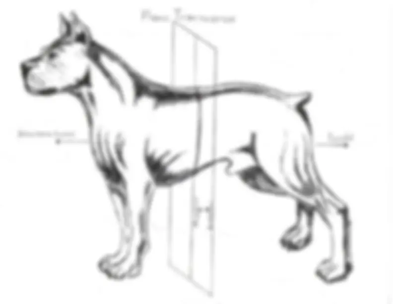 pf4