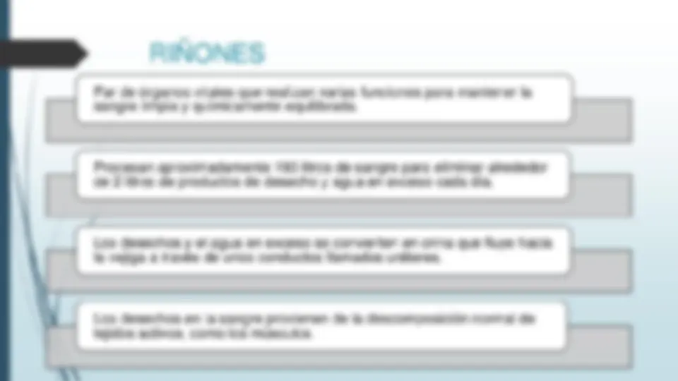 pf3