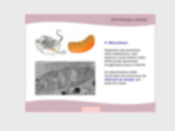 pf14