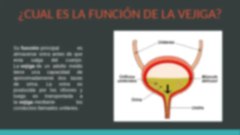 pfa