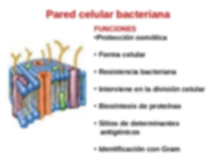 pf5