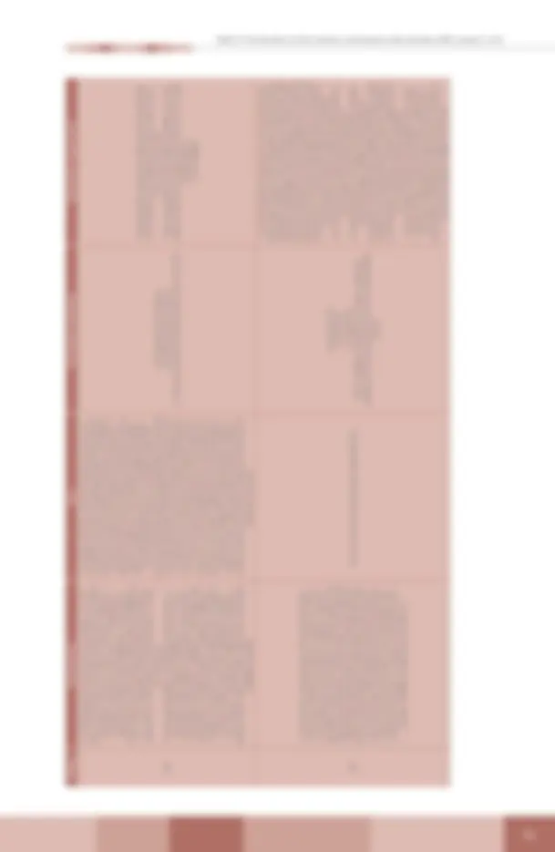 pf51