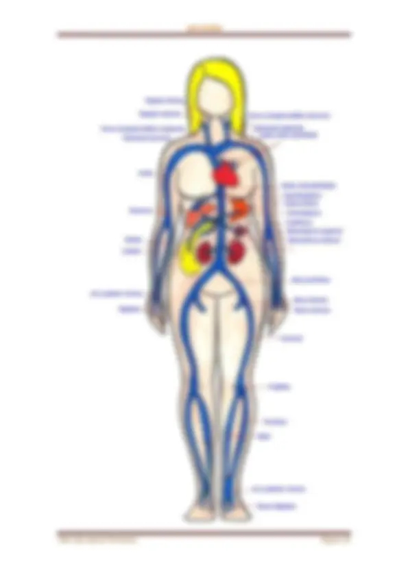 pfa