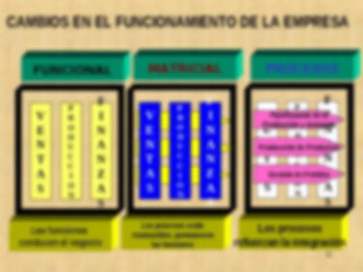 pf19