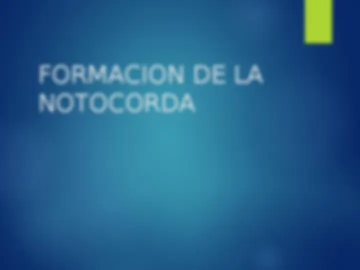 pff
