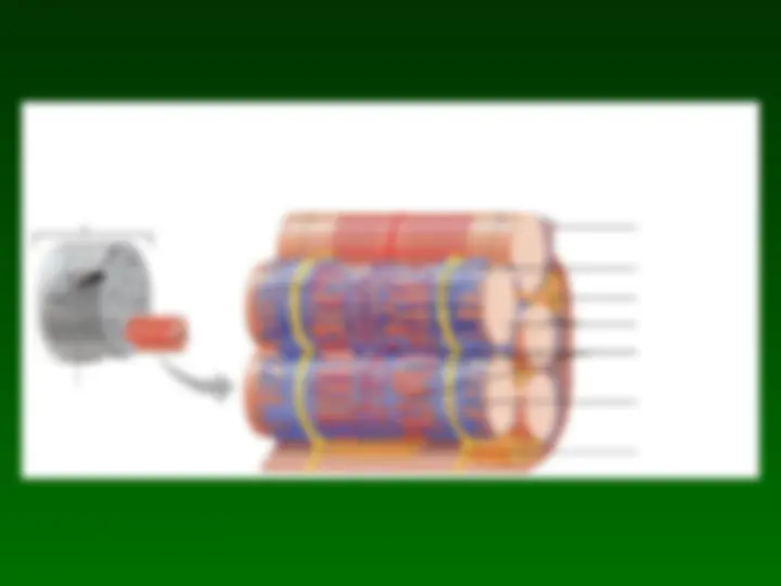 pf9