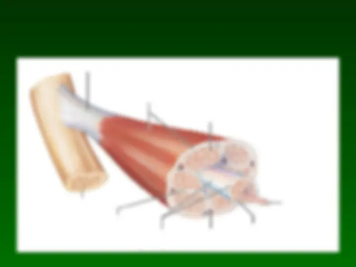 pf5