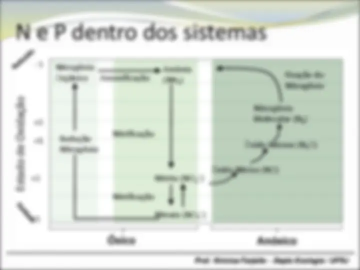 pfe