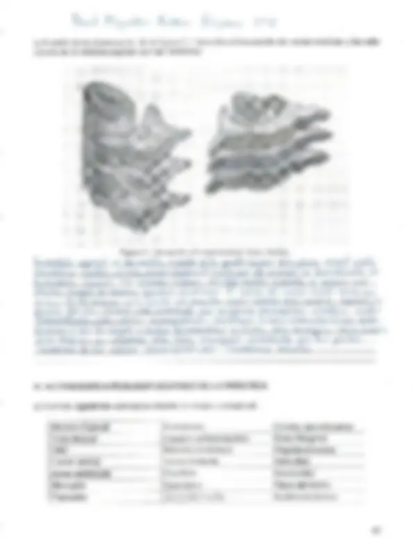 pf5