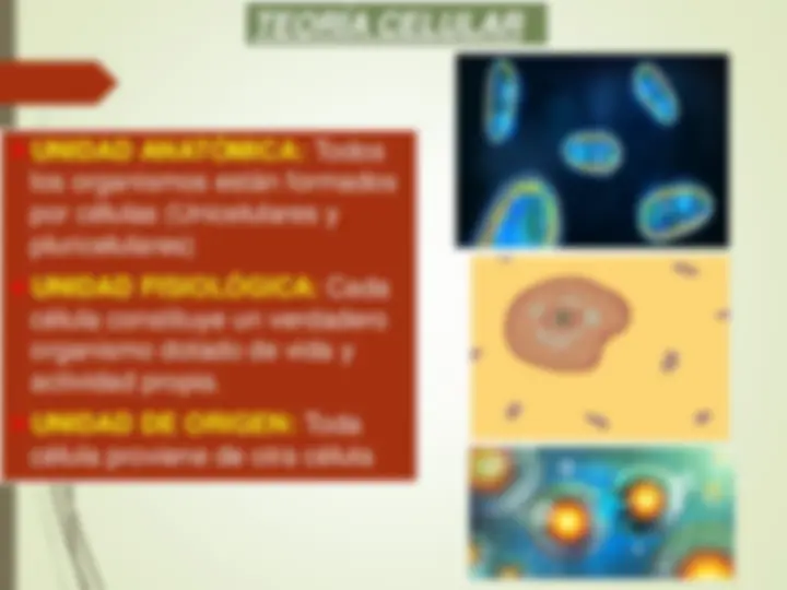 pf3