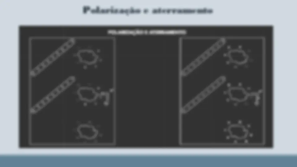 pf5