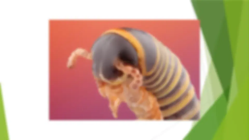 pff
