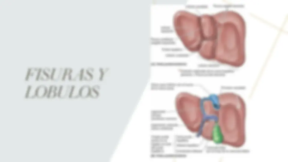 pf5