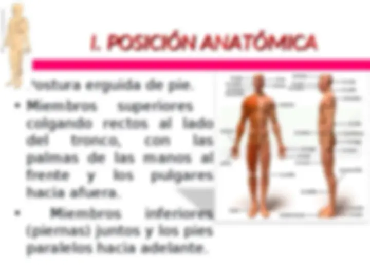 pf5