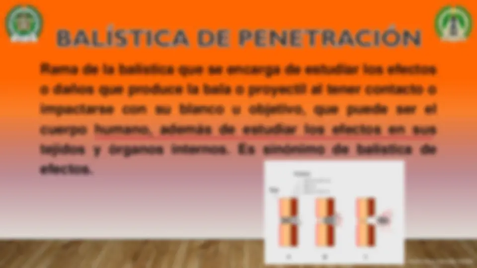 pf21