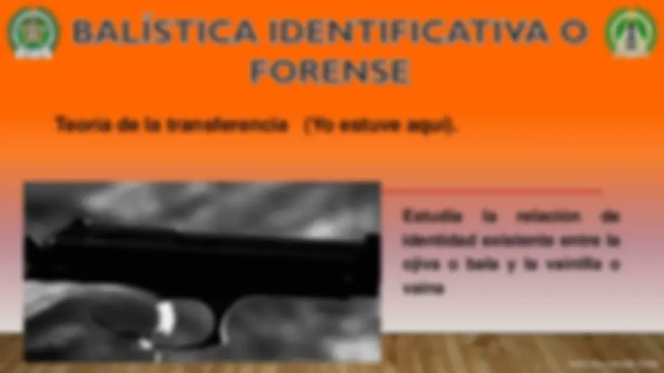 pf19