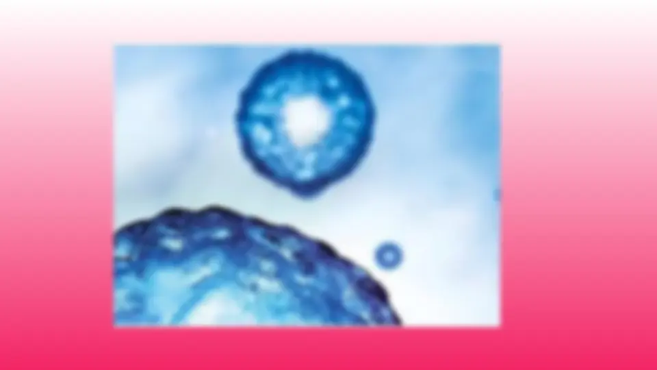 pf3