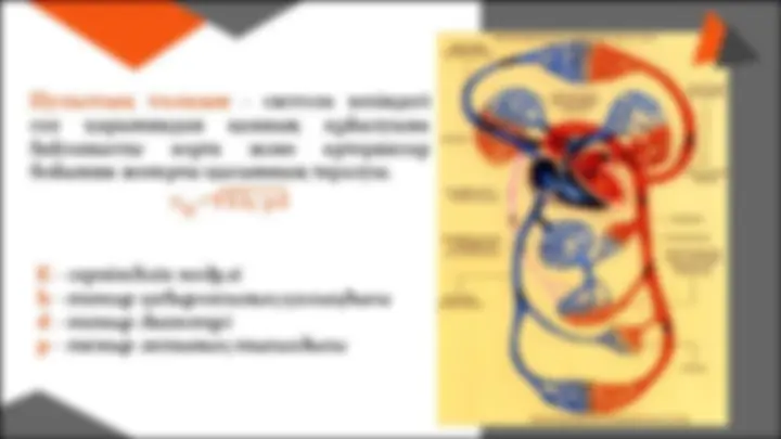 Пентхаус балапандары