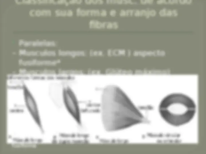 pf12