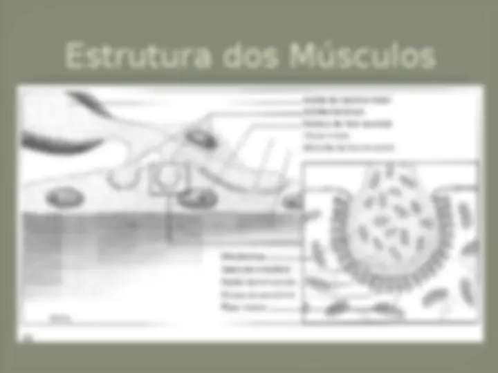 pfa