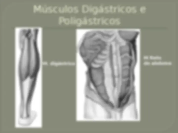pf27
