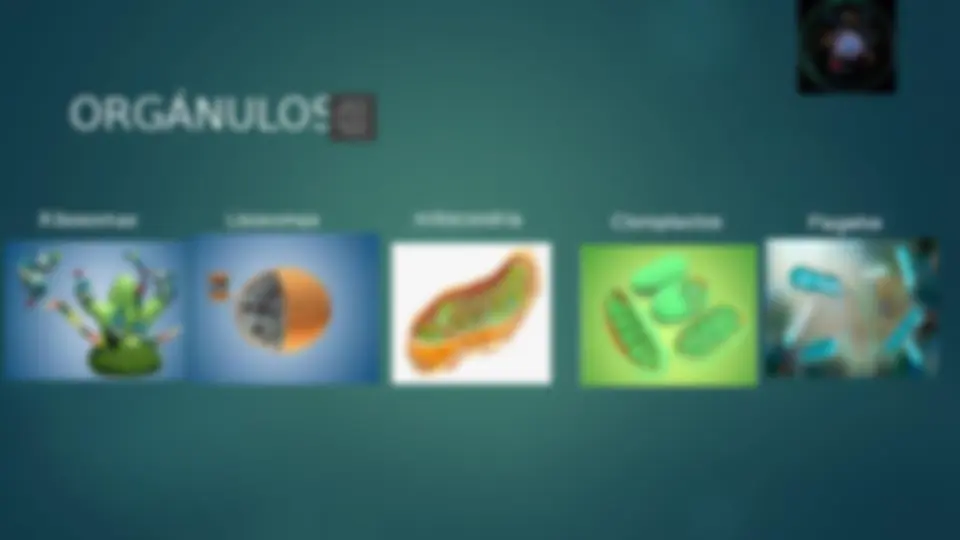 pf4
