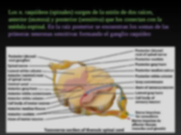 pf3