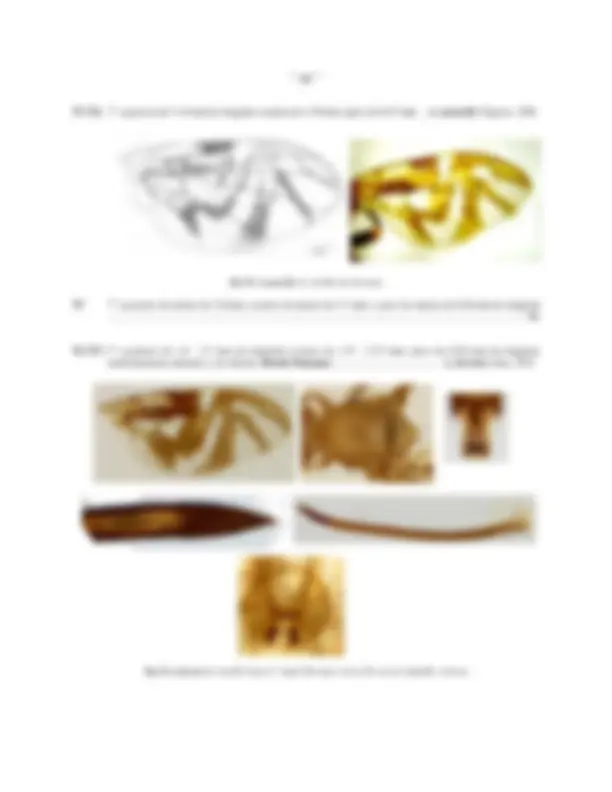pf3f