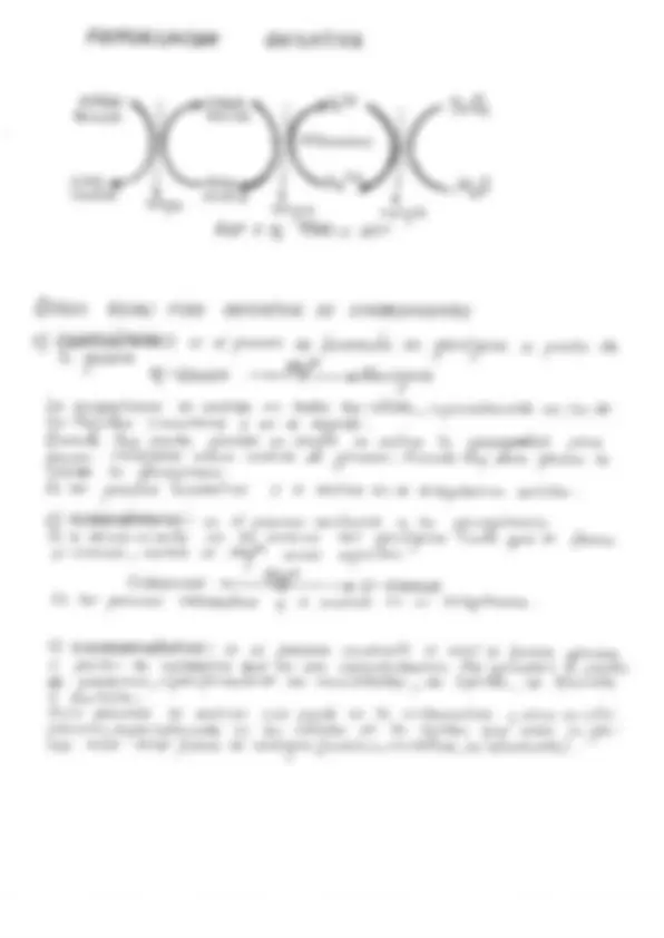 pf3