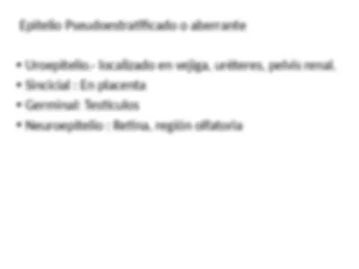pf1f