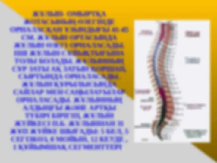 Жалаңаш Денис Милано