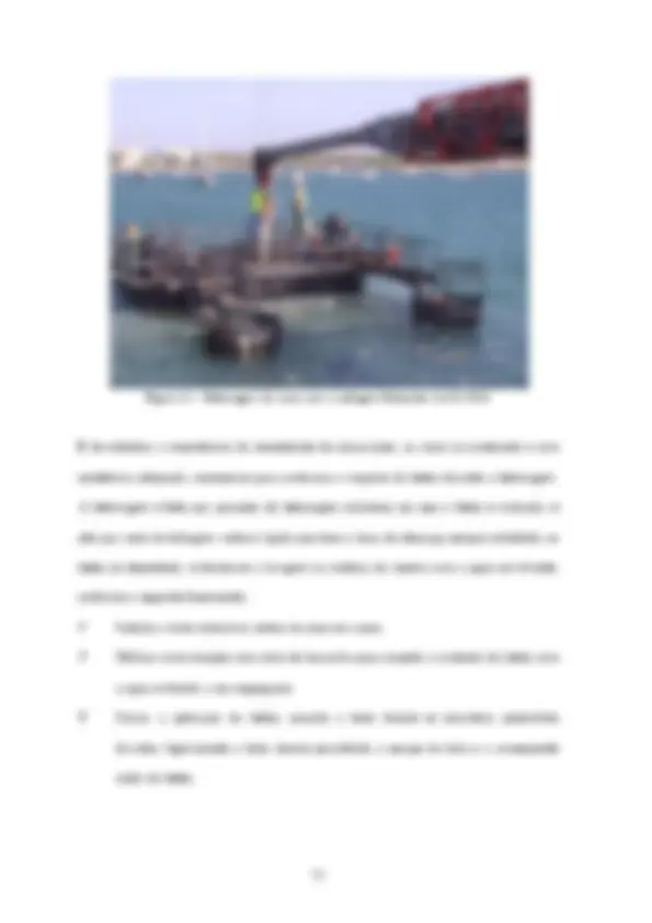 pf21