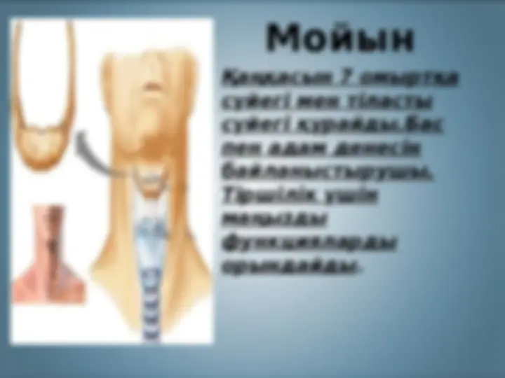 Порно - бұл бананмен ең жақсы секс