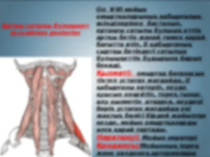 Орман құбыжығымен жыныстық қатынас