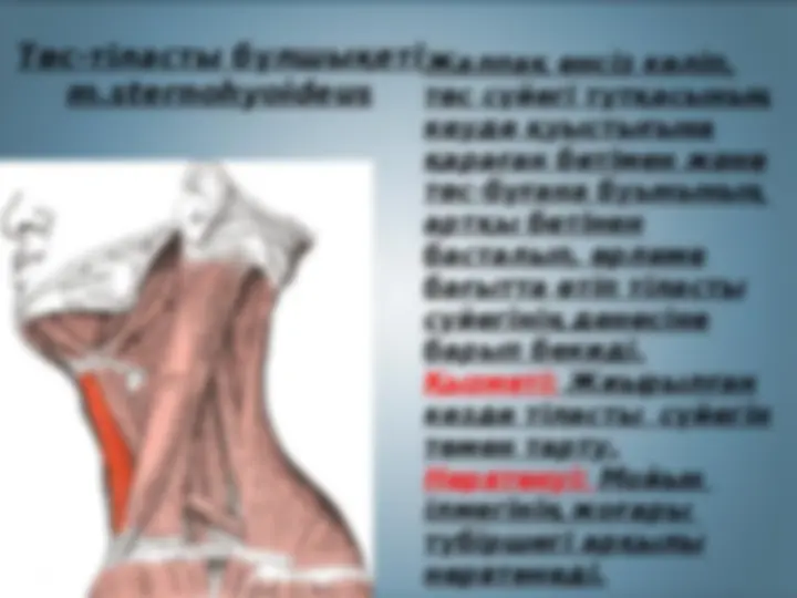 Орыс гейлерінің жыныстық қатынасқа түскен бейнелері