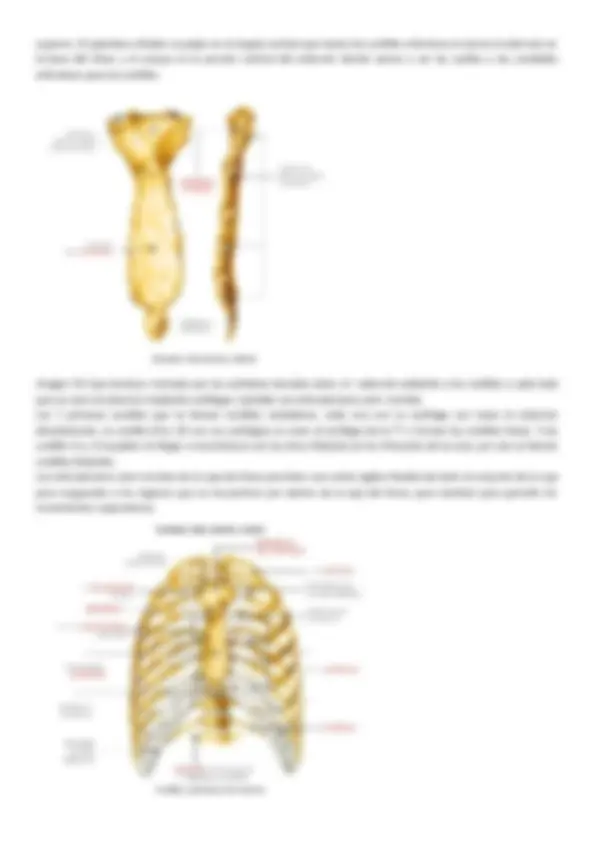pfa