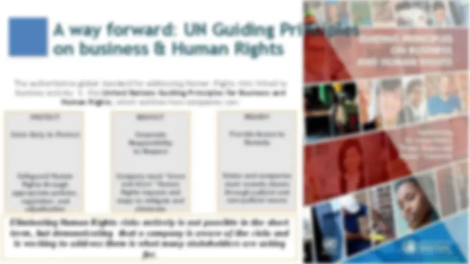 Business Responsibility for Human Rights: Study of UN Principles ...