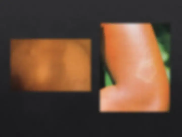 pf16