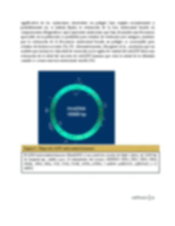pff
