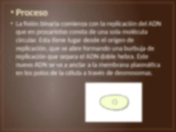 pf8