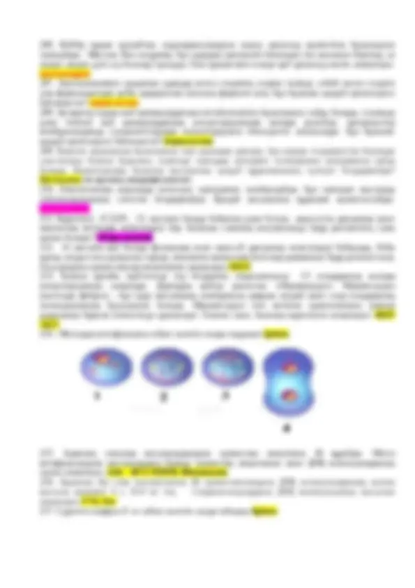 Бірінші рет жыныстық қатынасқа түсудің салдары Пенисаға арналған вакуумдық сорғы бар порно видеолар