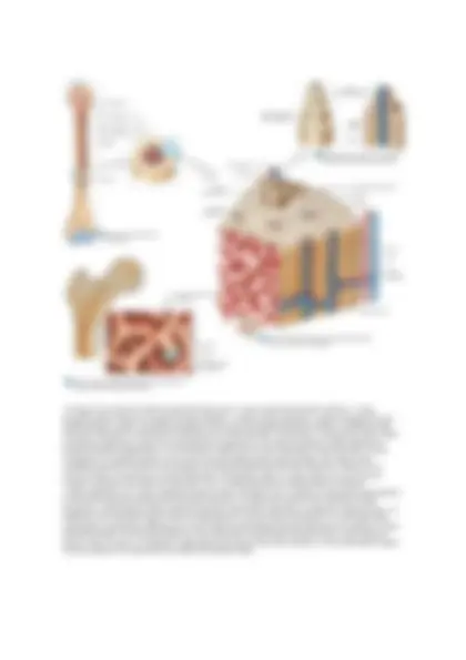 pf4