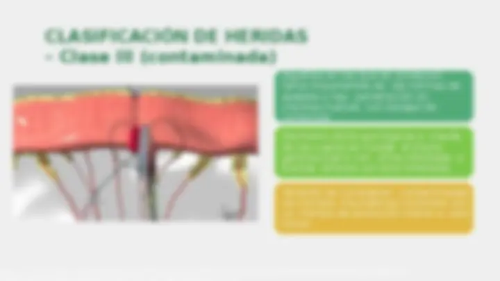 pf1b